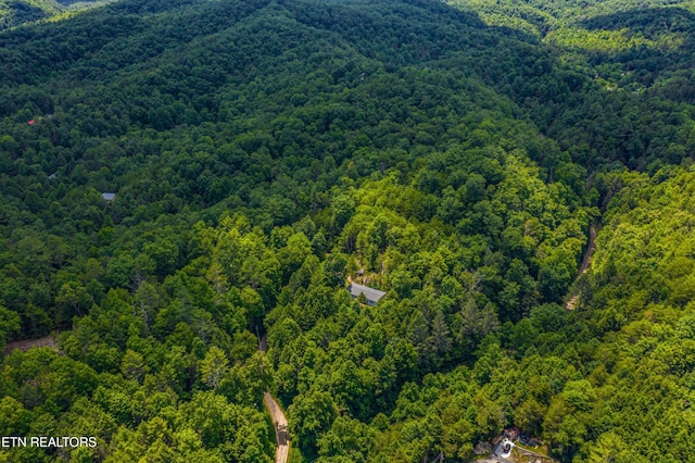 Boyd Way, Cosby, TN 37722 - photo 12