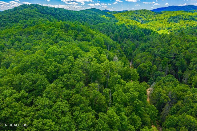 Boyd Way, Cosby, TN 37722 - photo 13
