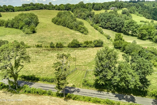 371 County Road 280, Niota, TN 37826 - photo 2
