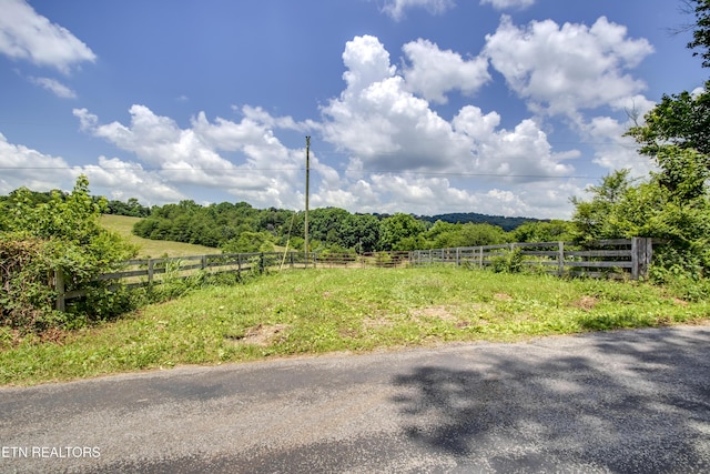 371 County Road 280, Niota, TN 37826 - photo 3