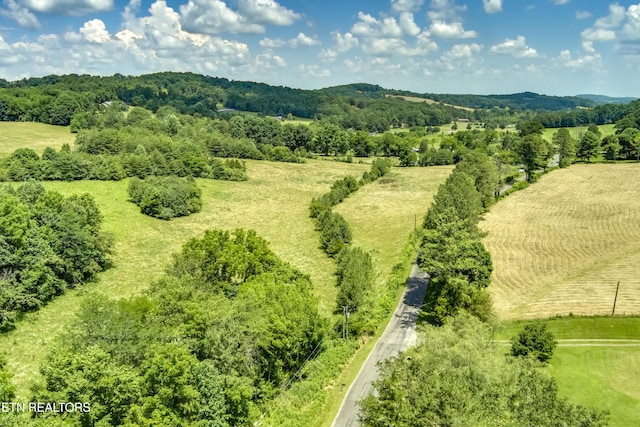 371 County Road 280, Niota, TN 37826 - photo 4