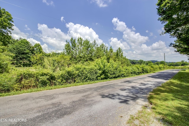 371 County Road 280, Niota, TN 37826 - photo 5