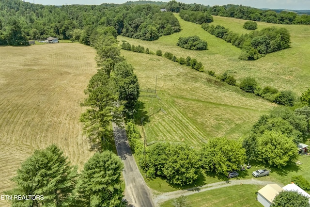 371 County Road 280, Niota, TN 37826 - photo 6