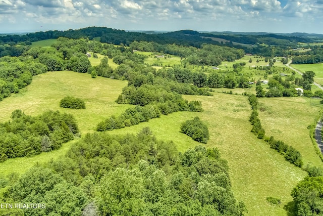 371 County Road 280, Niota, TN 37826 - photo 11