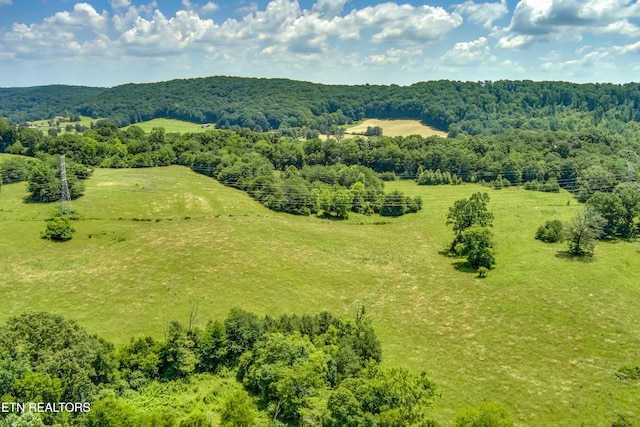 371 County Road 280, Niota, TN 37826 - photo 14