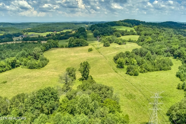 371 County Road 280, Niota, TN 37826 - photo 15