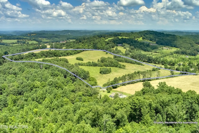 371 County Road 280, Niota, TN 37826 - photo 16