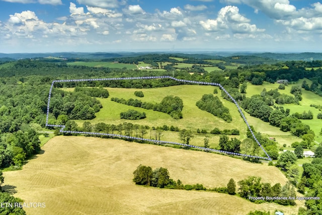 371 County Road 280, Niota, TN 37826 - photo 17