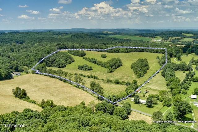 371 County Road 280, Niota, TN 37826 - photo 18