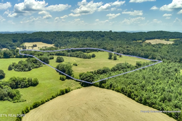 371 County Road 280, Niota, TN 37826 - photo 20