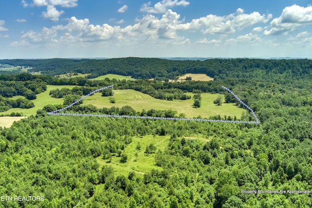371 County Road 280, Niota, TN 37826 - photo 21