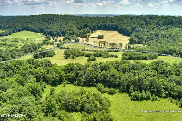 371 County Road 280, Niota, TN 37826 - photo 22