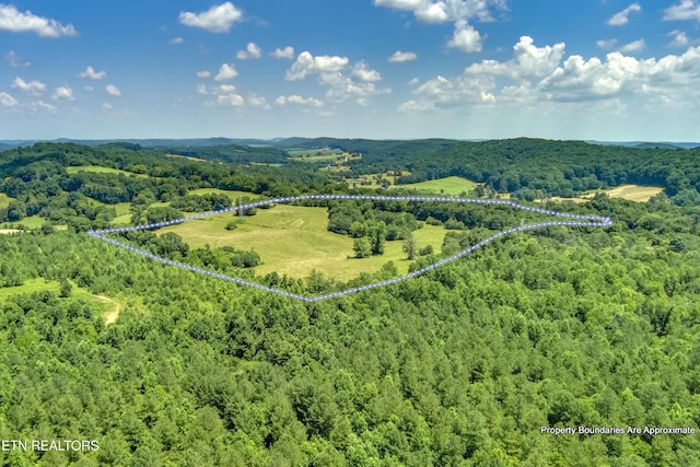 371 County Road 280, Niota, TN 37826 - photo 23