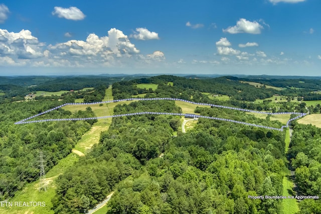 371 County Road 280, Niota, TN 37826 - photo 24