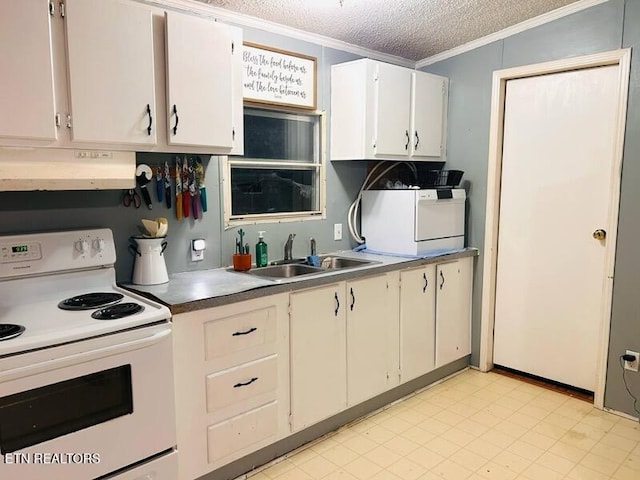 181 Claude Hargis Ln, Crawford, TN 38554 - kitchen featuring white range with electric stovetop, under cabinet range hood, crown molding, a textured ceiling, and washer / dryer
