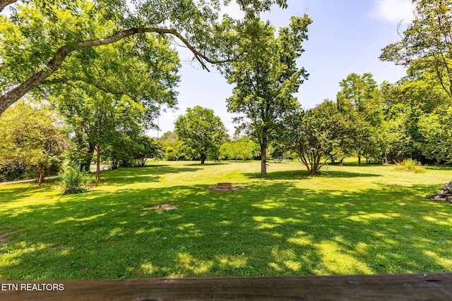 313 Locust St, Englewood, TN 37329 - view of green lawn featuring view of scattered trees
