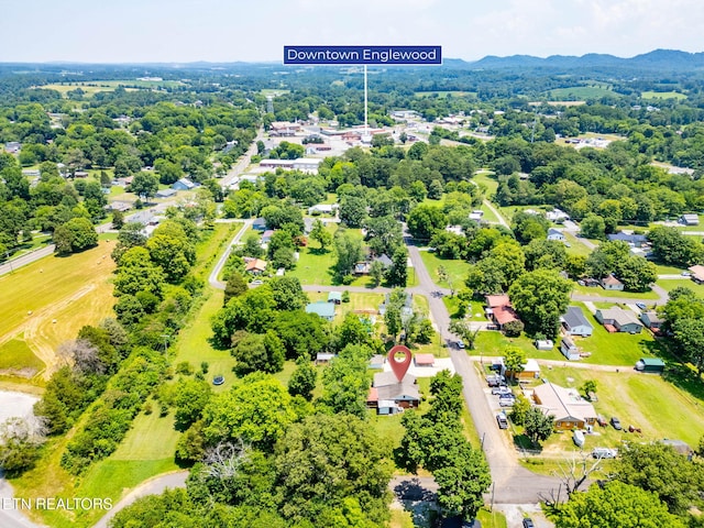 313 Locust St, Englewood, TN 37329 - drone / aerial view