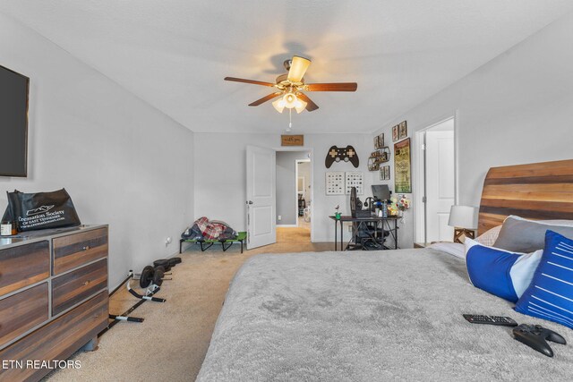 502 Smoky Valley Ln, Seymour, TN 37865 - photo 40
