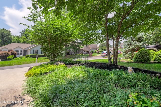 175 Depew Dr, Loudon, TN 37774 - photo 2