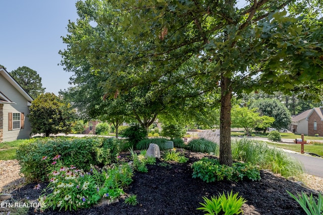 175 Depew Dr, Loudon, TN 37774 - photo 3