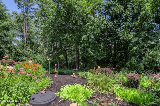 175 Depew Dr, Loudon, TN 37774 - photo 13