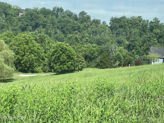 LOT105 Marble Bluff Dr, Kingston, TN 37763 - photo 3
