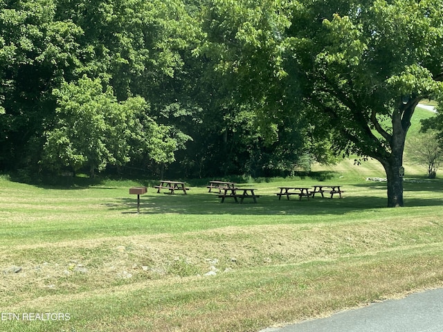 LOT105 Marble Bluff Dr, Kingston, TN 37763 - photo 4