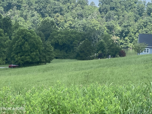 LOT105 Marble Bluff Dr, Kingston, TN 37763 - photo 10