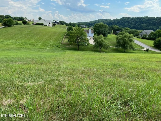 LOT105 Marble Bluff Dr, Kingston, TN 37763 - photo 11