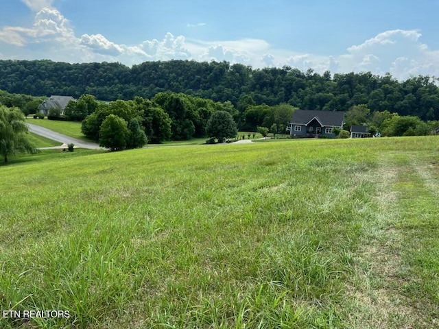LOT105 Marble Bluff Dr, Kingston, TN 37763 - photo 16