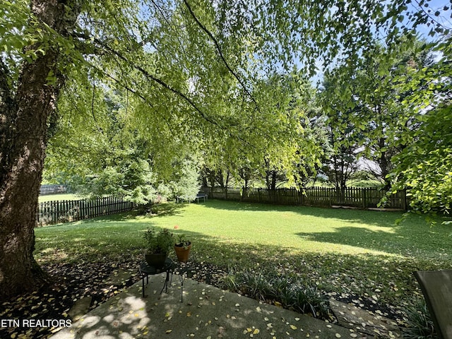 13001 Sanderling Ln, Knoxville, TN 37922 - fenced backyard with a patio area