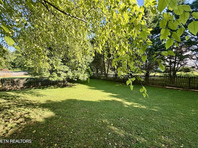 13001 Sanderling Ln, Knoxville, TN 37922 - view of fenced backyard