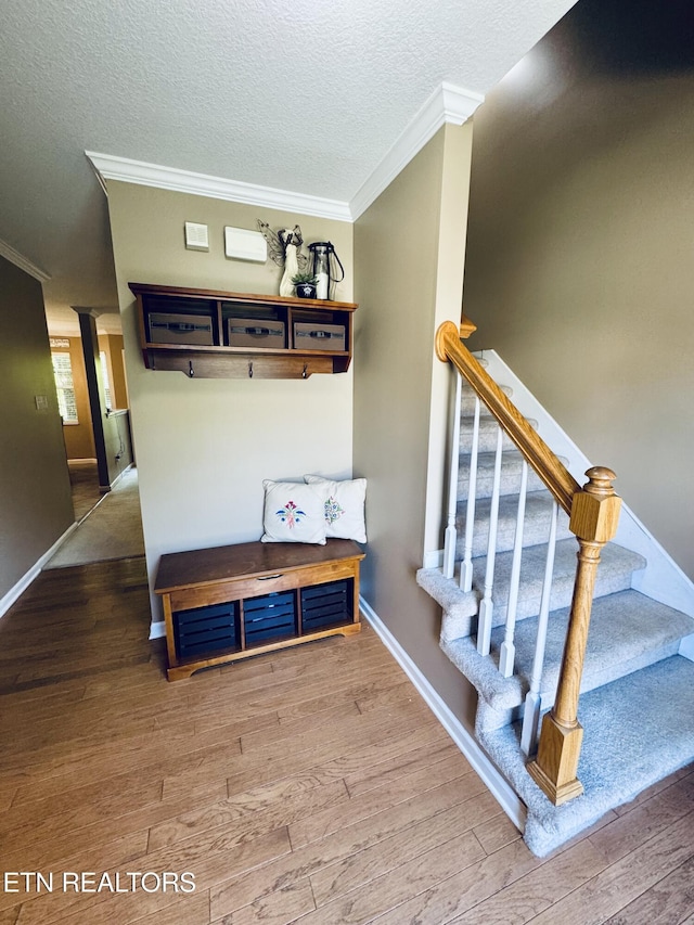 13001 Sanderling Ln, Knoxville, TN 37922 - stairway with crown molding, wood finished floors, and a textured ceiling