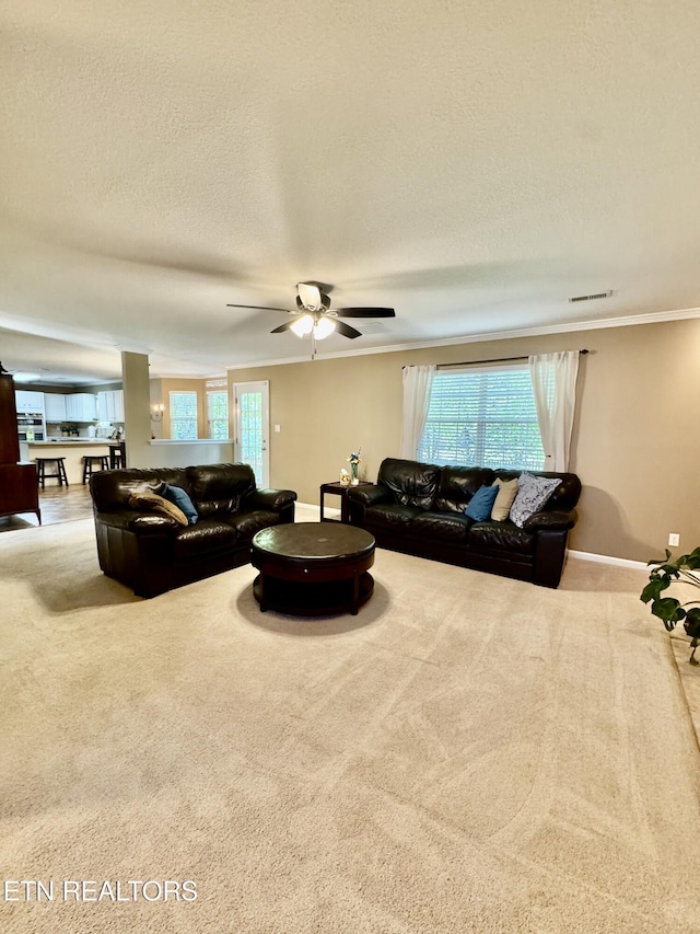 13001 Sanderling Ln, Knoxville, TN 37922 - photo 16