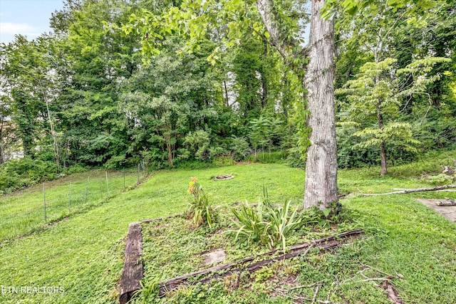 10800 Carmichael Rd, Knoxville, TN 37932 - photo 22
