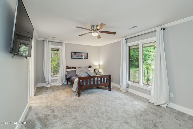 12309 N Fox Den Dr, Knoxville, TN 37934 - photo 37