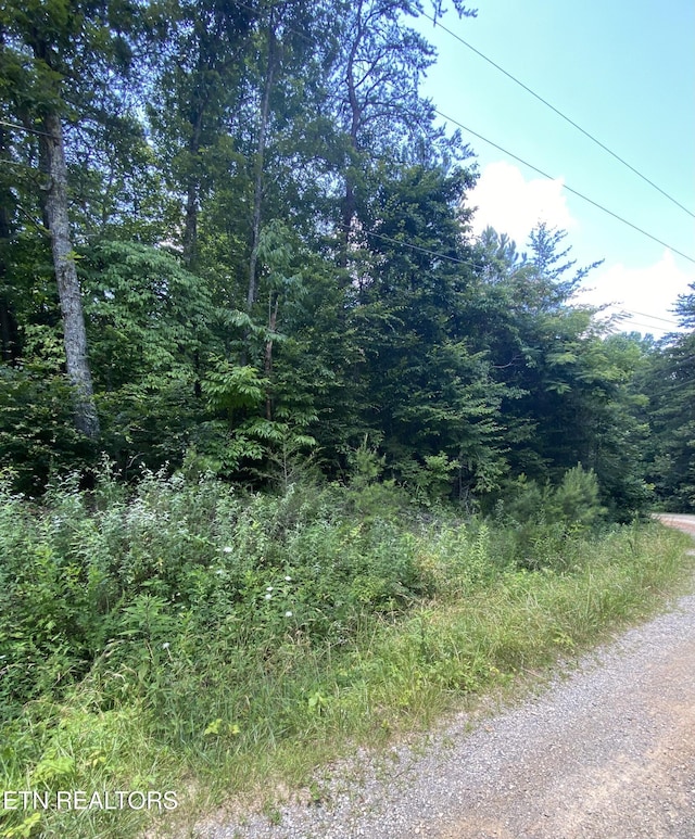 Welch Rd, Tellico Plains, TN 37385 - photo 1
