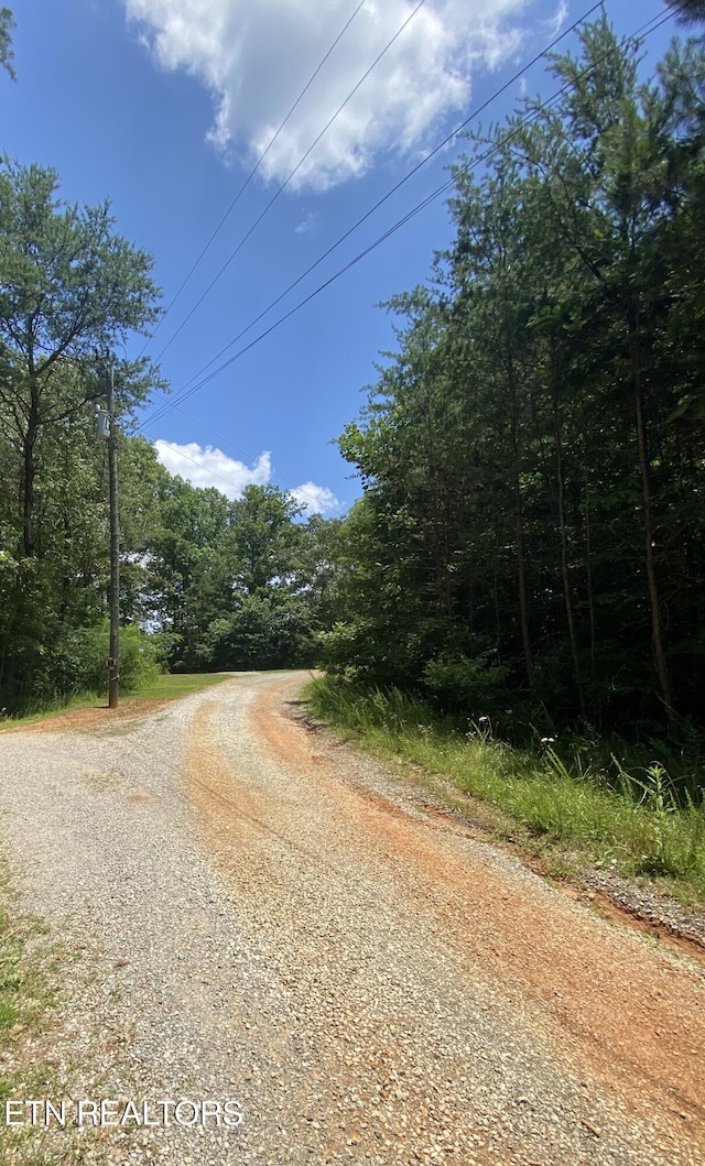 Welch Rd, Tellico Plains, TN 37385 - photo 5