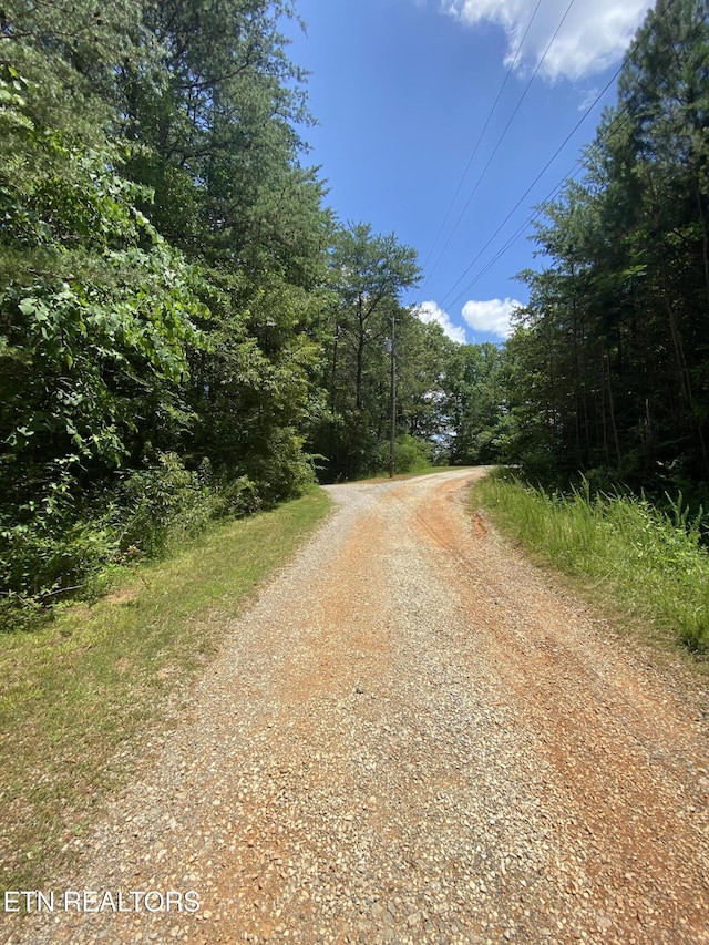 Welch Rd, Tellico Plains, TN 37385 - photo 7