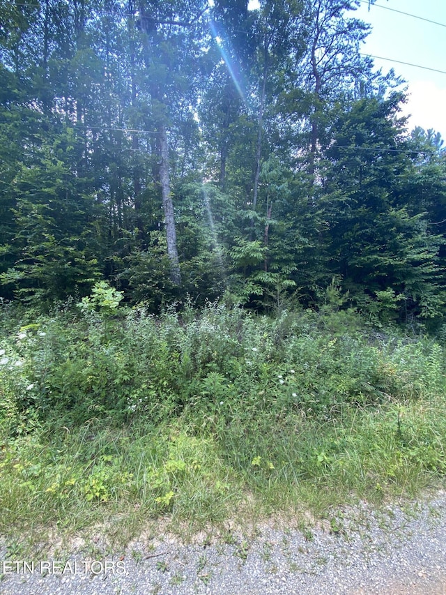 Welch Rd, Tellico Plains, TN 37385 - photo 6