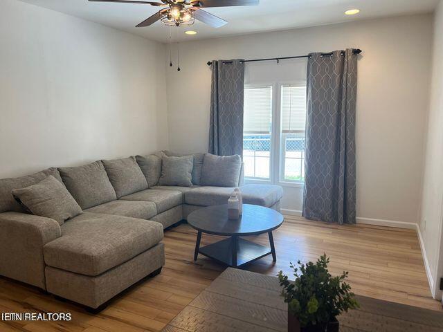 1231 Callaway St, Knoxville, TN 37921 - photo 7