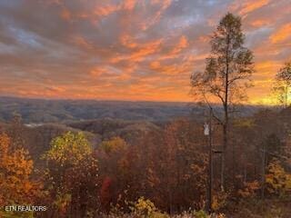 3388 W W Short Mountain Rd, Sneedville, TN 37869 - photo 2