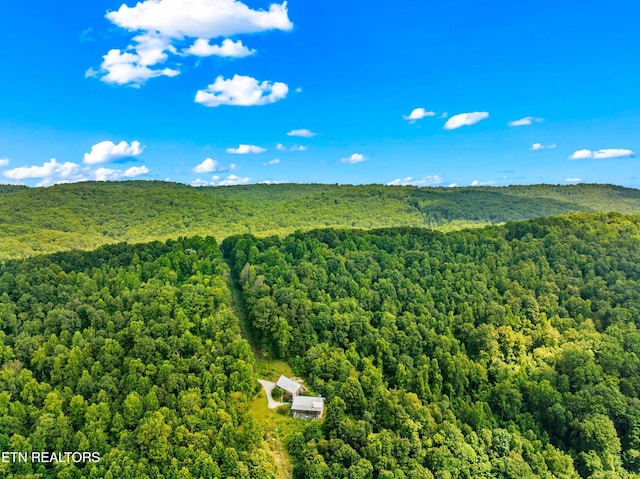 3388 W W Short Mountain Rd, Sneedville, TN 37869 - photo 56