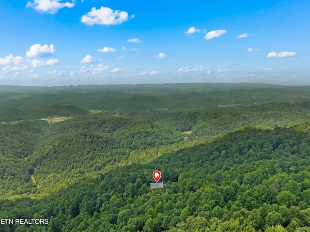 3388 W W Short Mountain Rd, Sneedville, TN 37869 - photo 54