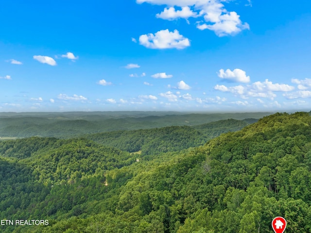 3388 W W Short Mountain Rd, Sneedville, TN 37869 - photo 57