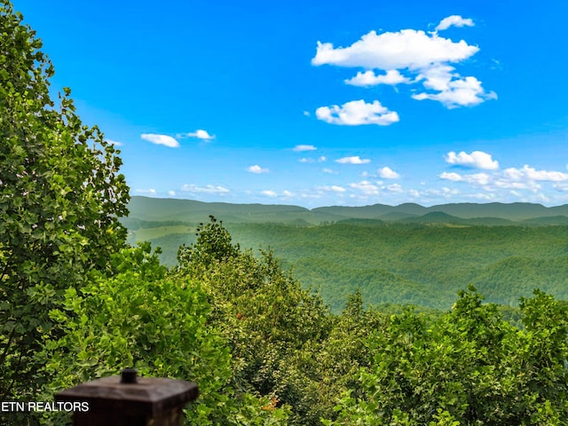 3388 W W Short Mountain Rd, Sneedville, TN 37869 - photo 44