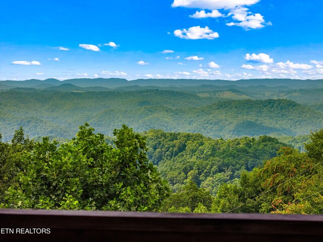 3388 W W Short Mountain Rd, Sneedville, TN 37869 - photo 45
