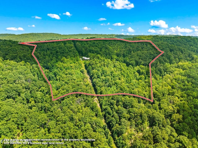3388 W W Short Mountain Rd, Sneedville, TN 37869 - photo 51