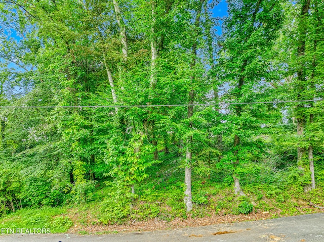 278 Harvest St, Newport, TN 37821