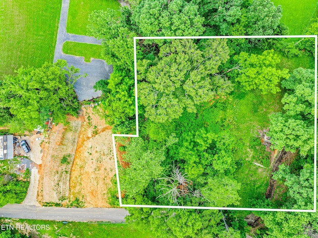 278 Harvest St, Newport, TN 37821